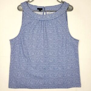 Talbots Women's Sleeveless Top Size XL Blue White Striped Round Neck Stretch